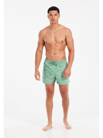 Protest " PRTTifton in Cactus Green