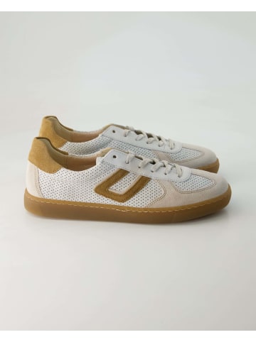 Gabor Comfort Sportliche Schnürschuhe in Beige