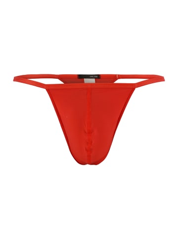 HOM Basic G-String Plumes in red