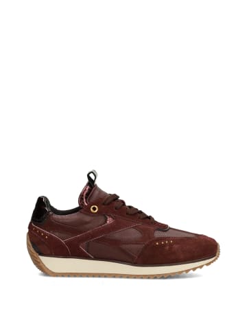 Poelman VALERIA Damen Sneaker