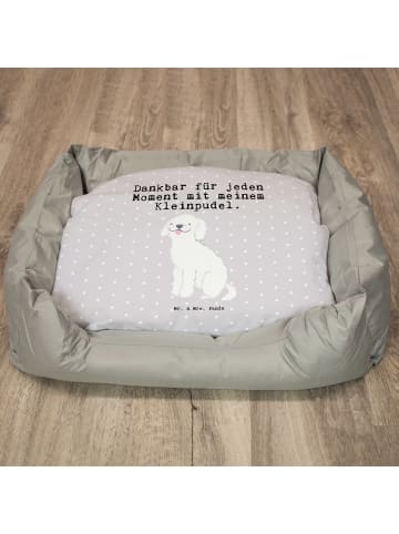 Mr. & Mrs. Panda Hundekörbchen Kleinpudel Moment mit Spruch in Grau Pastell