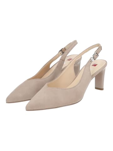 Högl Pumps in Taupe