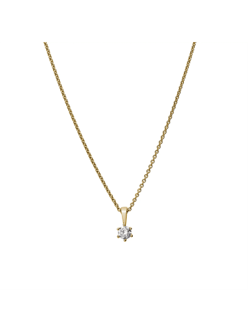 Lyomi 585/- Gold in gelb