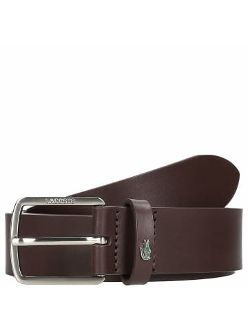 Lacoste Accessoire - Ledergürtel in marron