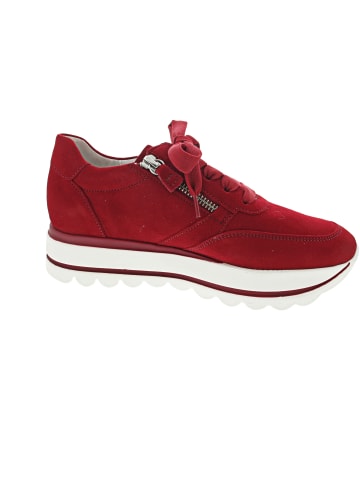 Gabor Sneaker Rot