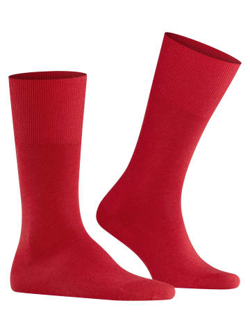 Falke Socken Airport in Scarlet