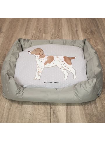 Mr. & Mrs. Panda Hundebett Pointer Lebensretter ohne Spruch in Grau Pastell