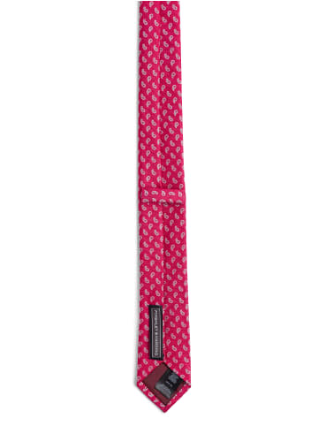 Finshley & Harding Krawatte in fuchsia - 0001