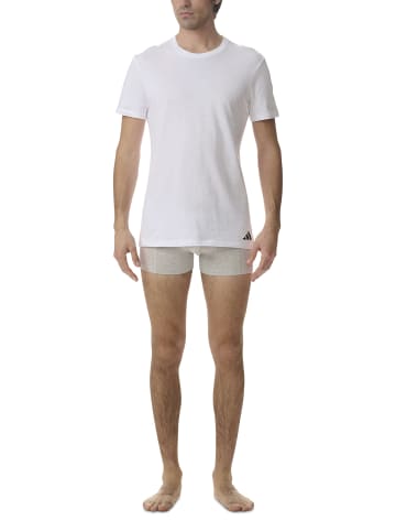 adidas T-Shirt T-Shirt Basic 3P in White