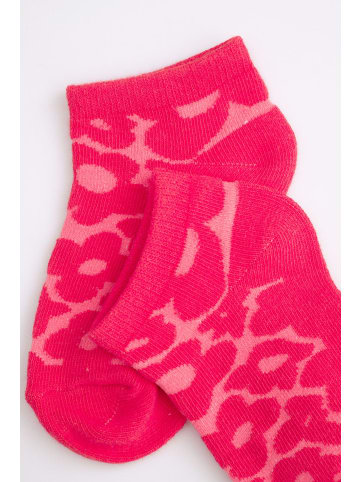 Coccodrillo Socken in bunt