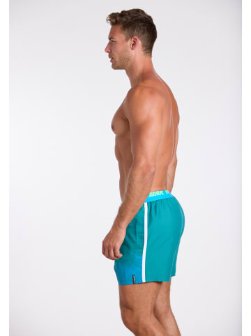 wavebreaker Shorts in grün