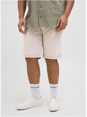 JACK & JONES PLUS Chino Shorts in Moonbeam