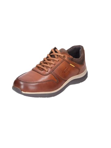 Camel Schnürschuhe in cognac