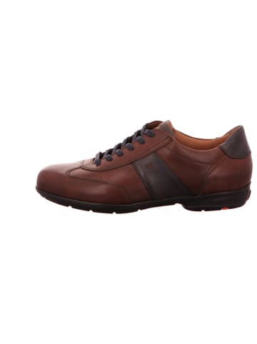 LLOYD Freizeit Schnürer für Herren in braun