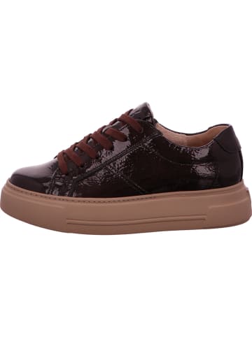 Paul Green Sneaker in braun