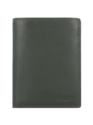 Esquire Viktoria Geldbörse RFID Leder 10 cm grün