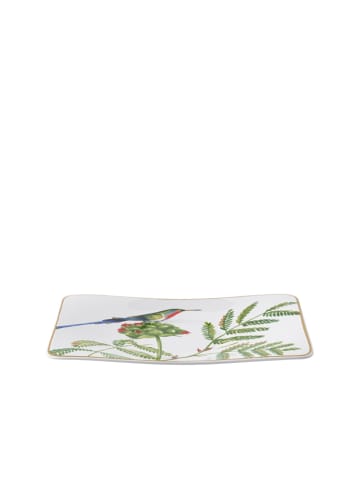 Villeroy & Boch Kaffee-Untertasse Amazonia in bunt