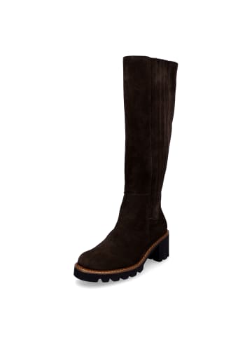 Paul Green Stiefel in Dunkelbraun