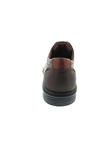 Josef Seibel Alastair 01 Business Schuh Braun