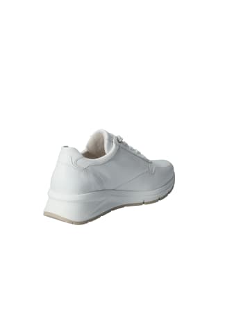 Gabor Lowtop-Sneaker in weiss