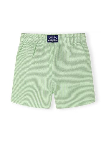 Minoti 2-er Pack Badeshorts 29SWIM250 in Blau