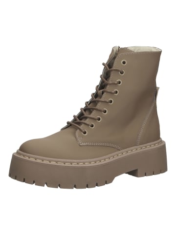 Steve Madden Stiefelette in Dunkelbeige