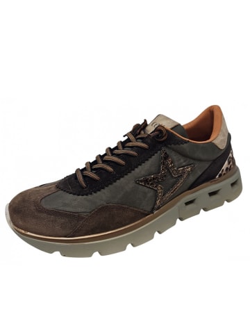 Cetti Sneaker Ante Nilon in Braun