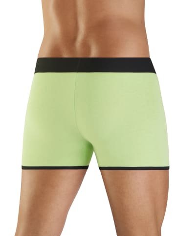 Bruno Banani Boxer in lime, grau, schwarz