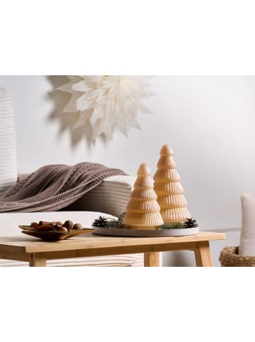 Beliani 2er-Set Dekofigur FLAREN in Beige