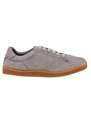 El Naturalista Sneaker grau