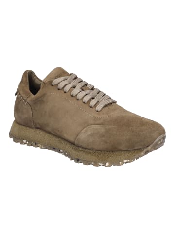 Josef Seibel Sneaker Adrian 01 in taupe