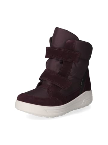 Ecco Winterstiefeletten URBAN SNOWBOARDER in Violett