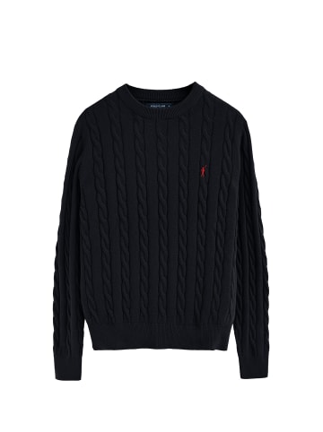 Polo Club PULLOVER in Mehrfarbig