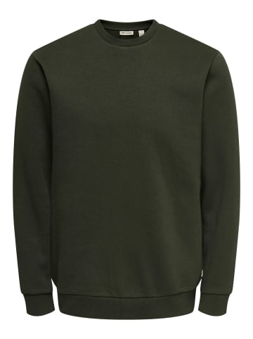 ONLY & SONS Sweatshirt in Rosin