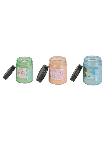 Beliani 3er-Set Kerze FRUITY BLOOM in Rosa/Blau/Grün