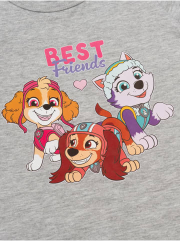 Paw Patrol Paw Patrol Kleid Skye, Everest & Zuma Kleidchen mit kurzen Ärmeln in grau