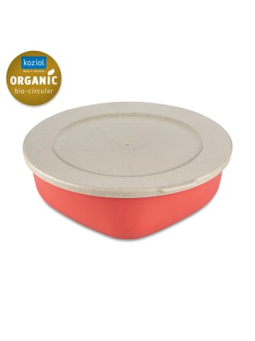 koziol CONNECT BOX 1,3 * - Box mit Deckel 1,3l in nature coral