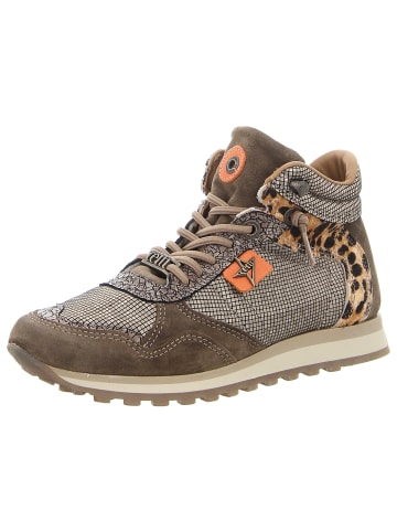 Cetti Sneaker in braun