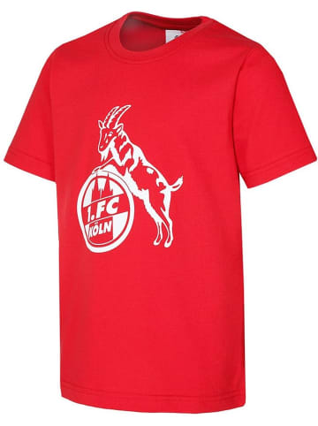 Fußballverein 1. FC Köln Shirt "T-Shirt Basic" in Rot
