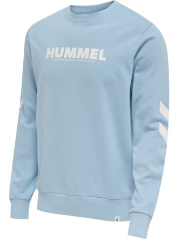 Hummel Pullover in Blau
