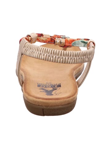 Cosmos Comfort Sandalette in gold