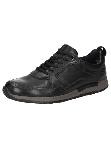 Sioux Sneaker Rojaro-713 in schwarz