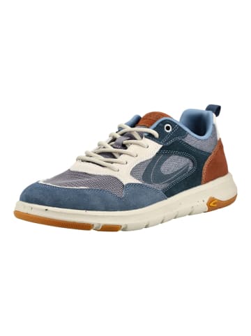 Camel Active Sneaker in Blau/Beige