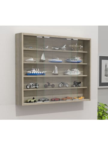 VCM  Hängevitrine Wandvitrine Sammel Deko Agisa L in Sonoma-Eiche