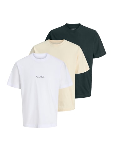 Jack & Jones T-Shirt Norrebro in Beige / weiß / grau