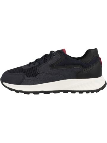 Geox Sneaker low U Terrestre B in dunkelblau