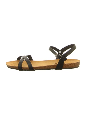 Plakton Sandale in schwarz