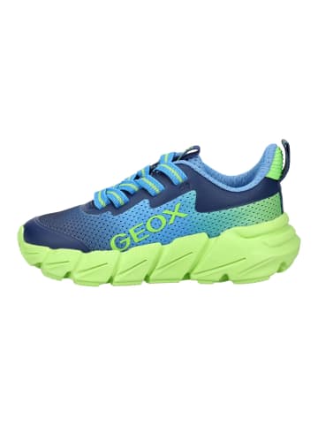 Geox Sneaker in Blau/Lime