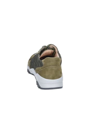 Finn Comfort Schnürschuh in olive