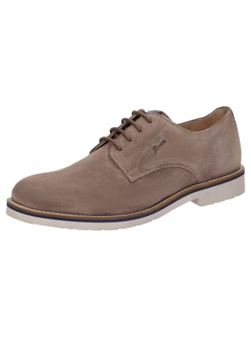 Sioux Schnürschuh Encanio-715 in braun
